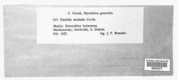 Image Associated With the Occurence